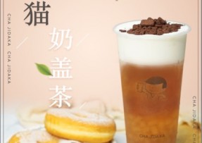 看球体育：熊猫奶盖茶