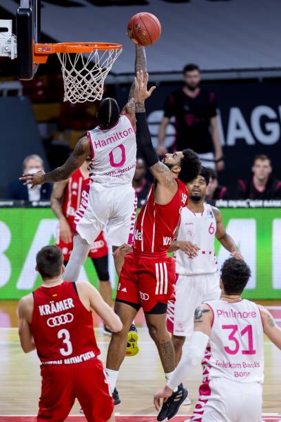 灰熊的强硬 灰熊的强硬