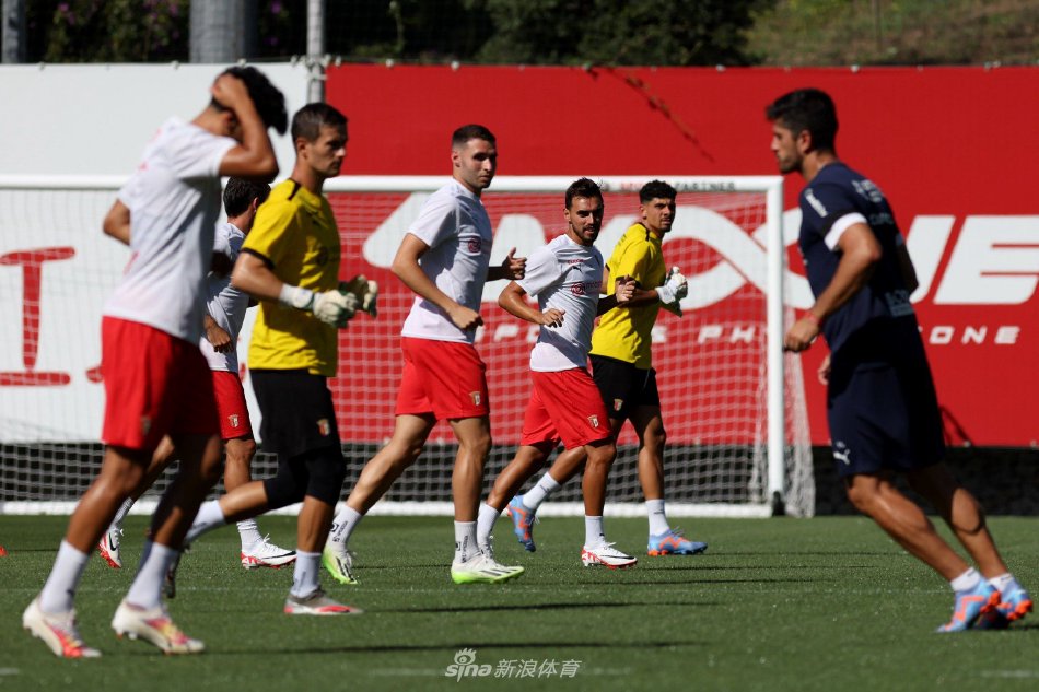 这类例子说 这类例子说